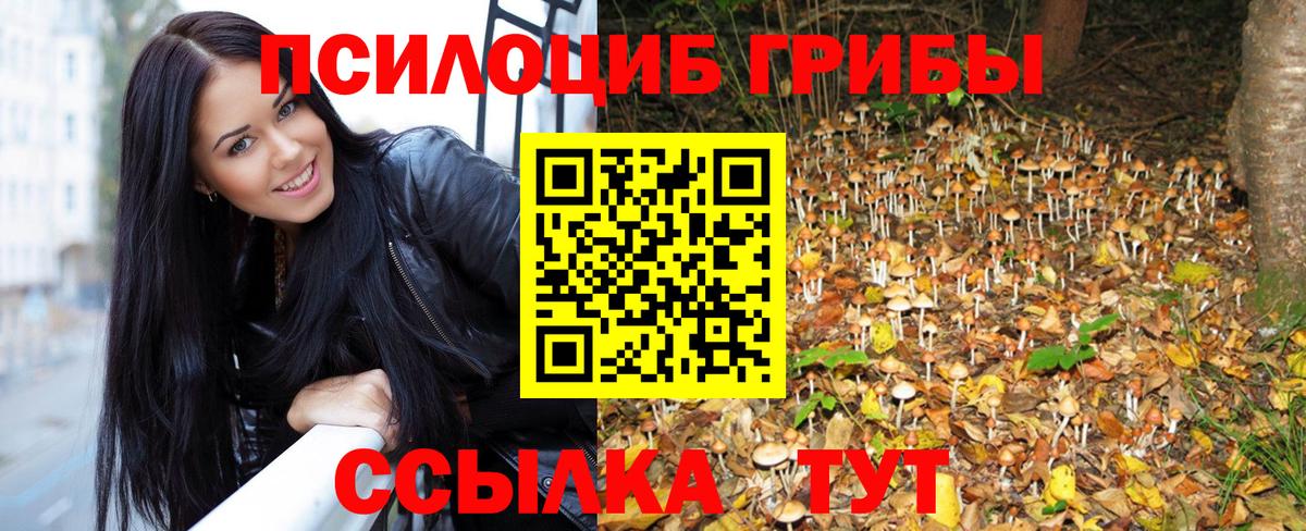 Галлюциногенные грибы мухоморы Железногорск